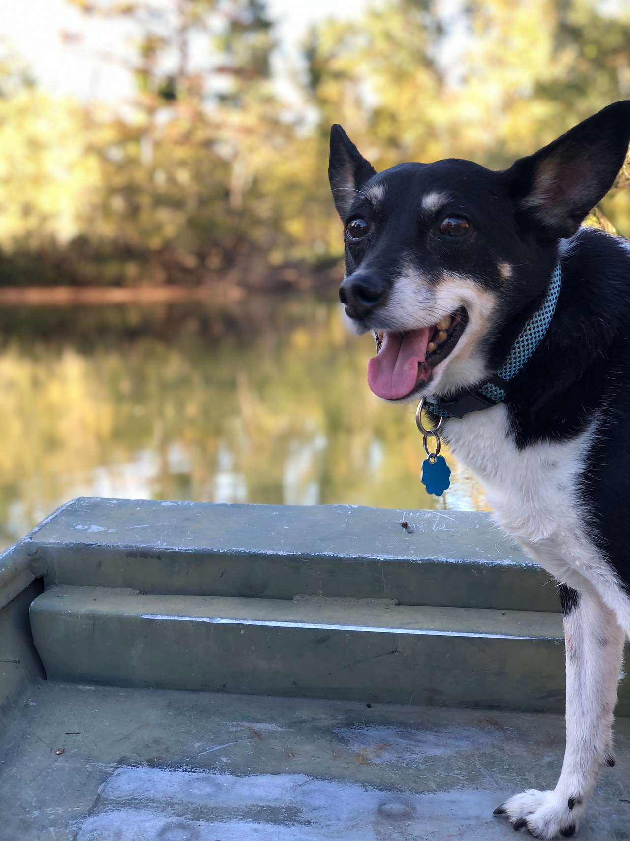 Charlie loves boat rides on the river