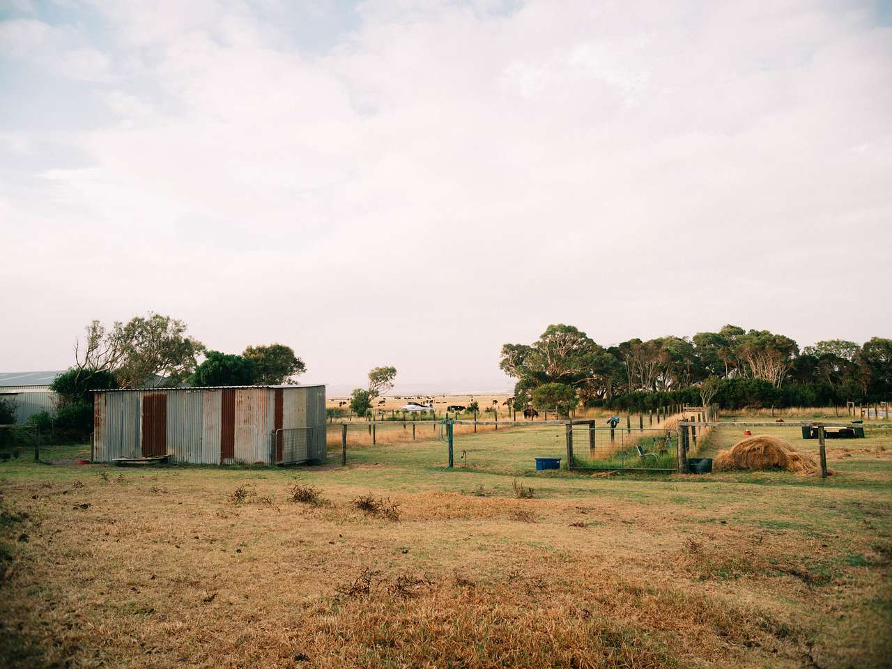 Sandy Point Farm Camp