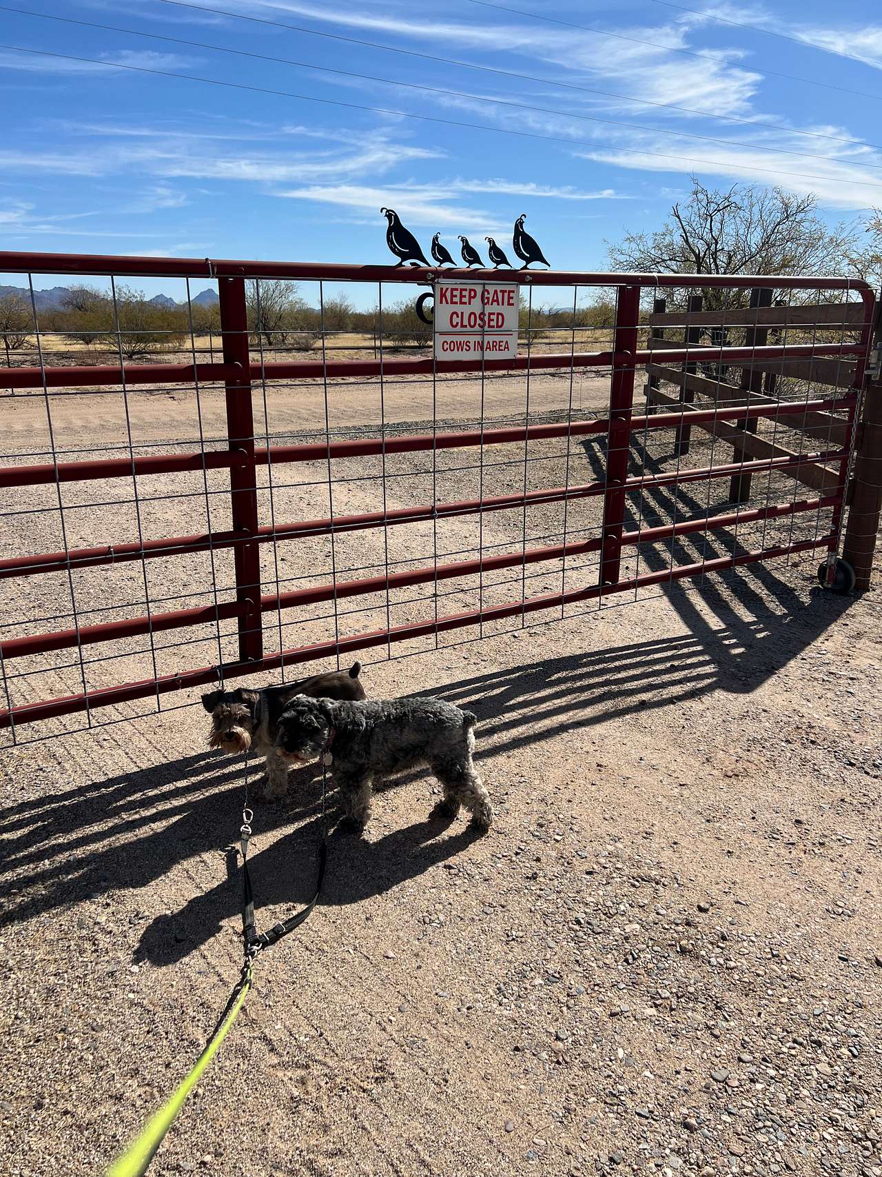 Iron Quail Ranch