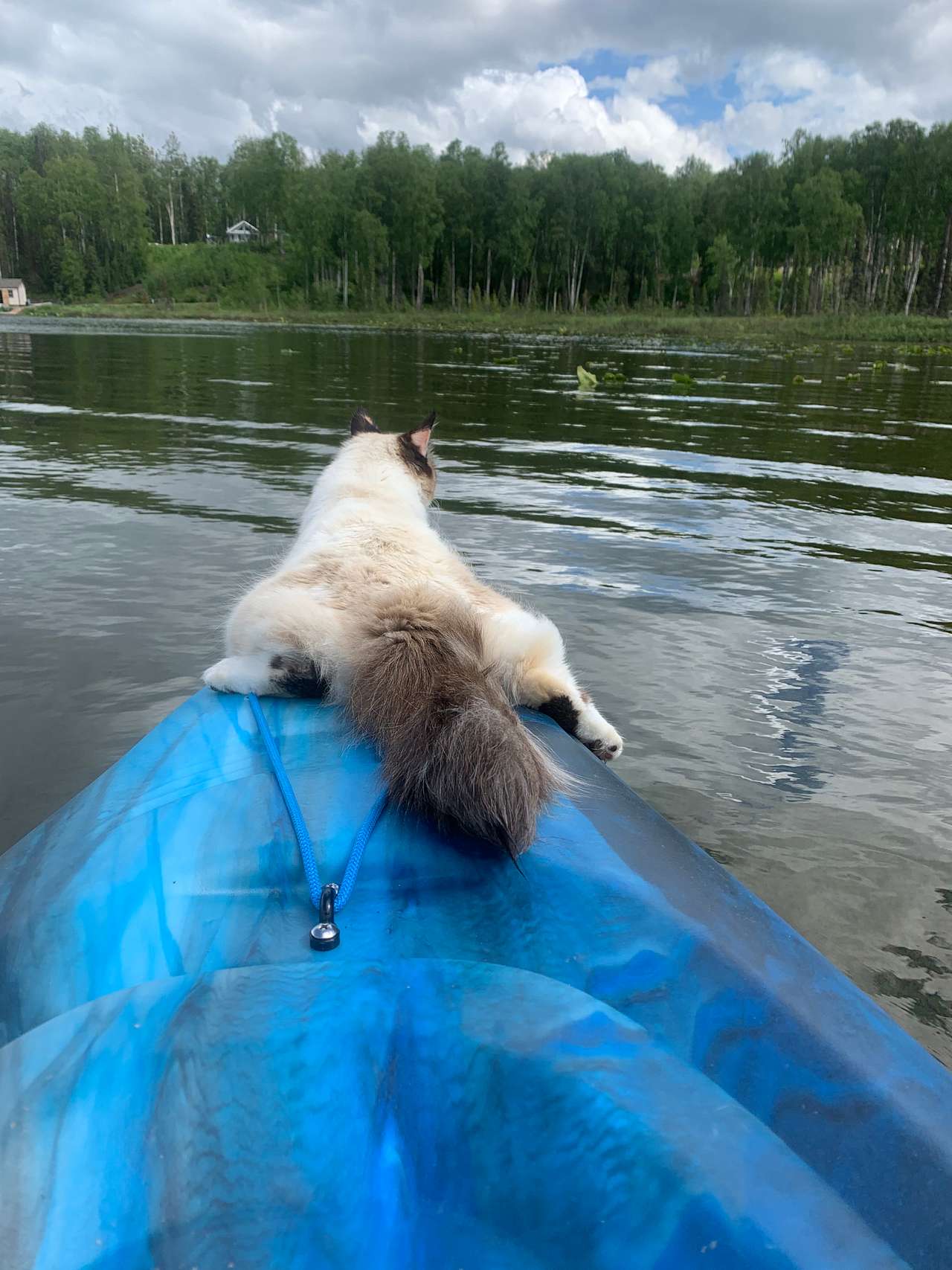 Talkeetna Lake Retreat