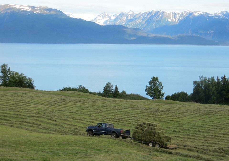 Famous Kilcher Family Homestead