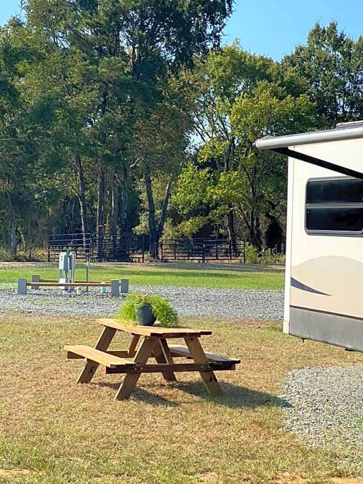 30/50 AMP BACK-IN RV SITE