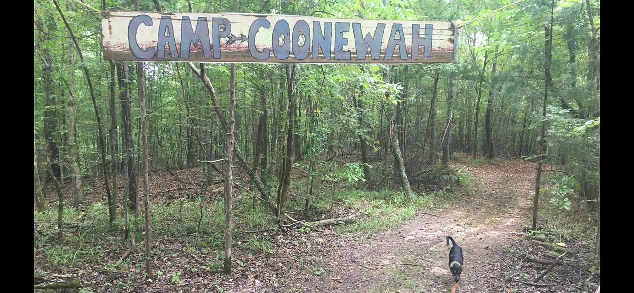 Camp Coonewah