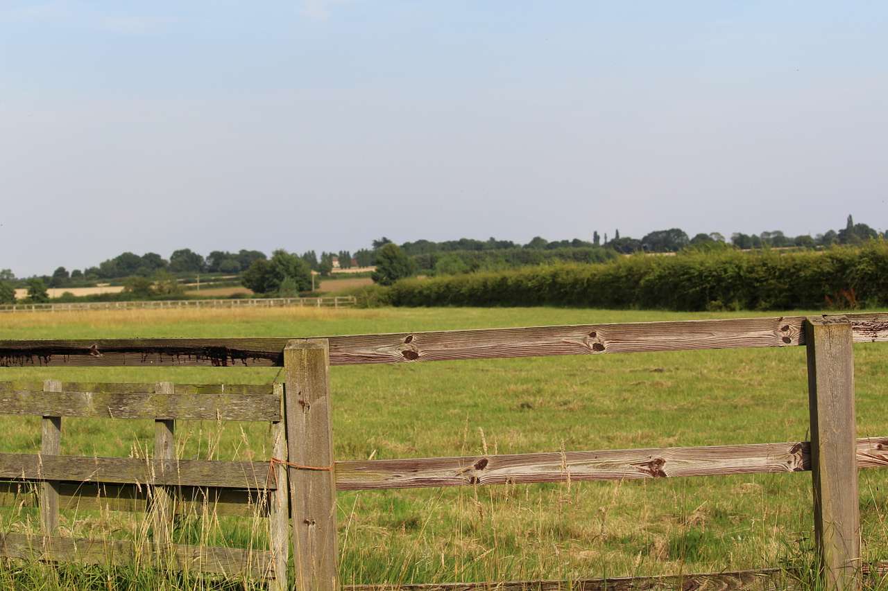 Freedom Farm Camping