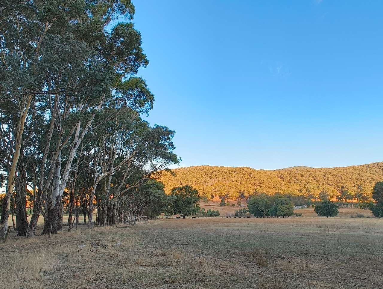 Blackwood Park - Lima East Valley