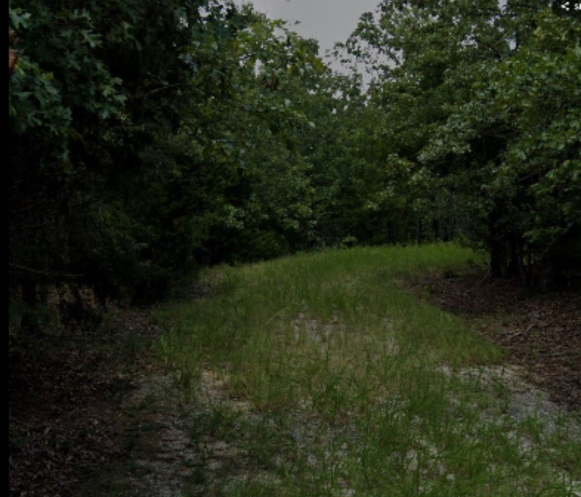 Lake Omaha Wooded Escape
