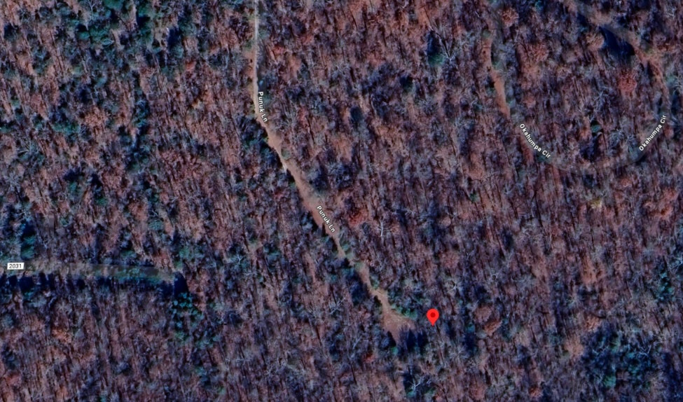 Lake Omaha Wooded Escape
