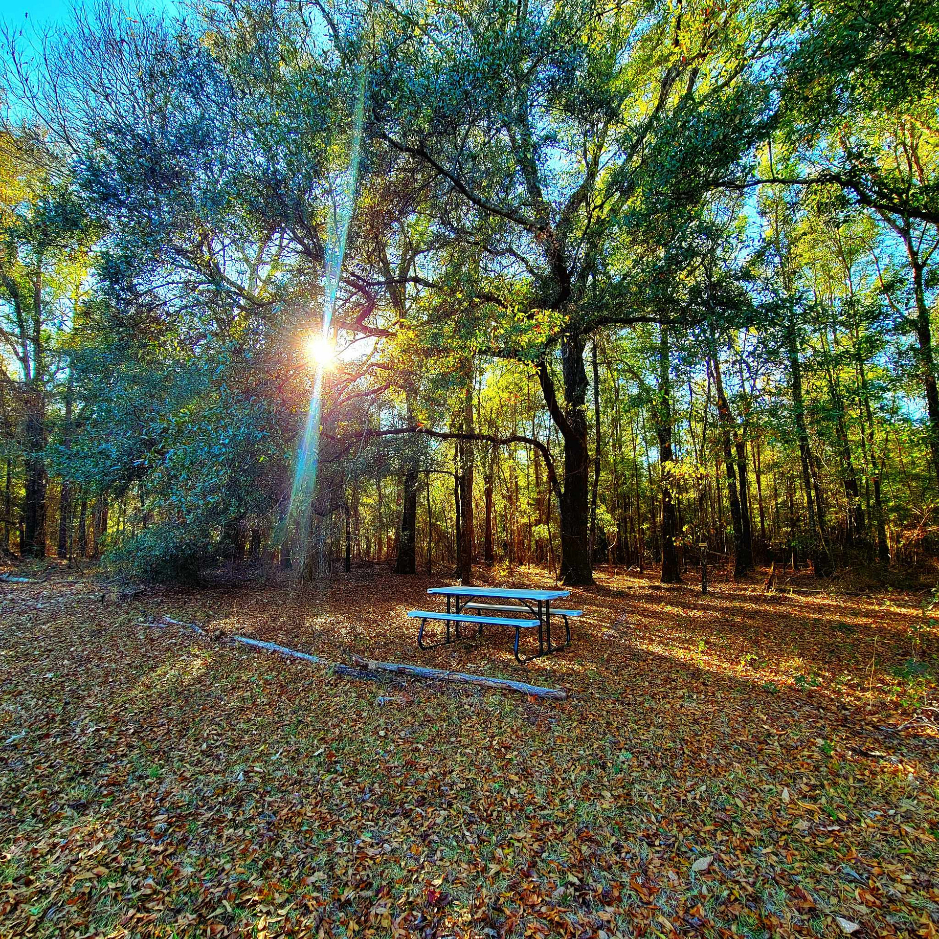 The Pecan Orchard CampGrounds