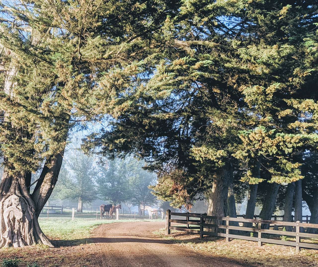 Summerleigh Homestead, circa 1876
