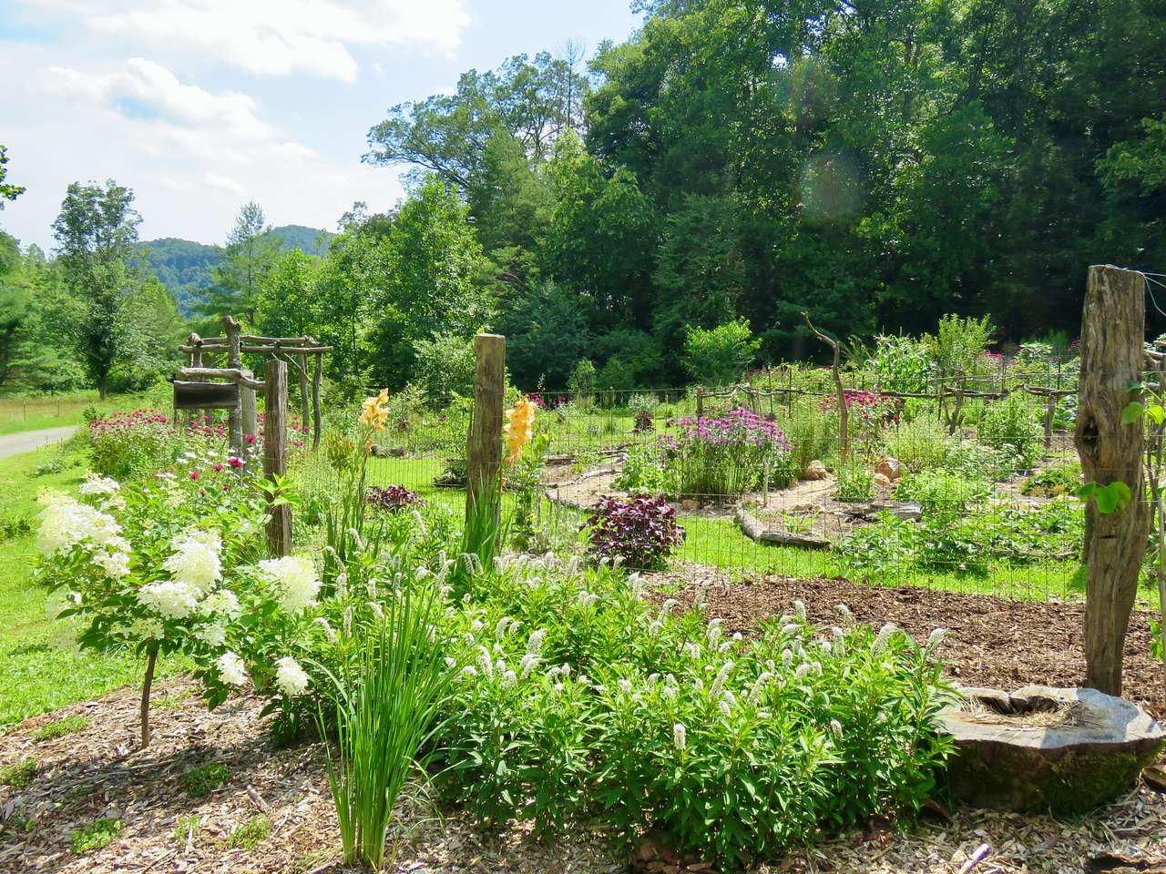 The gardens at Longbottom Leaves. 