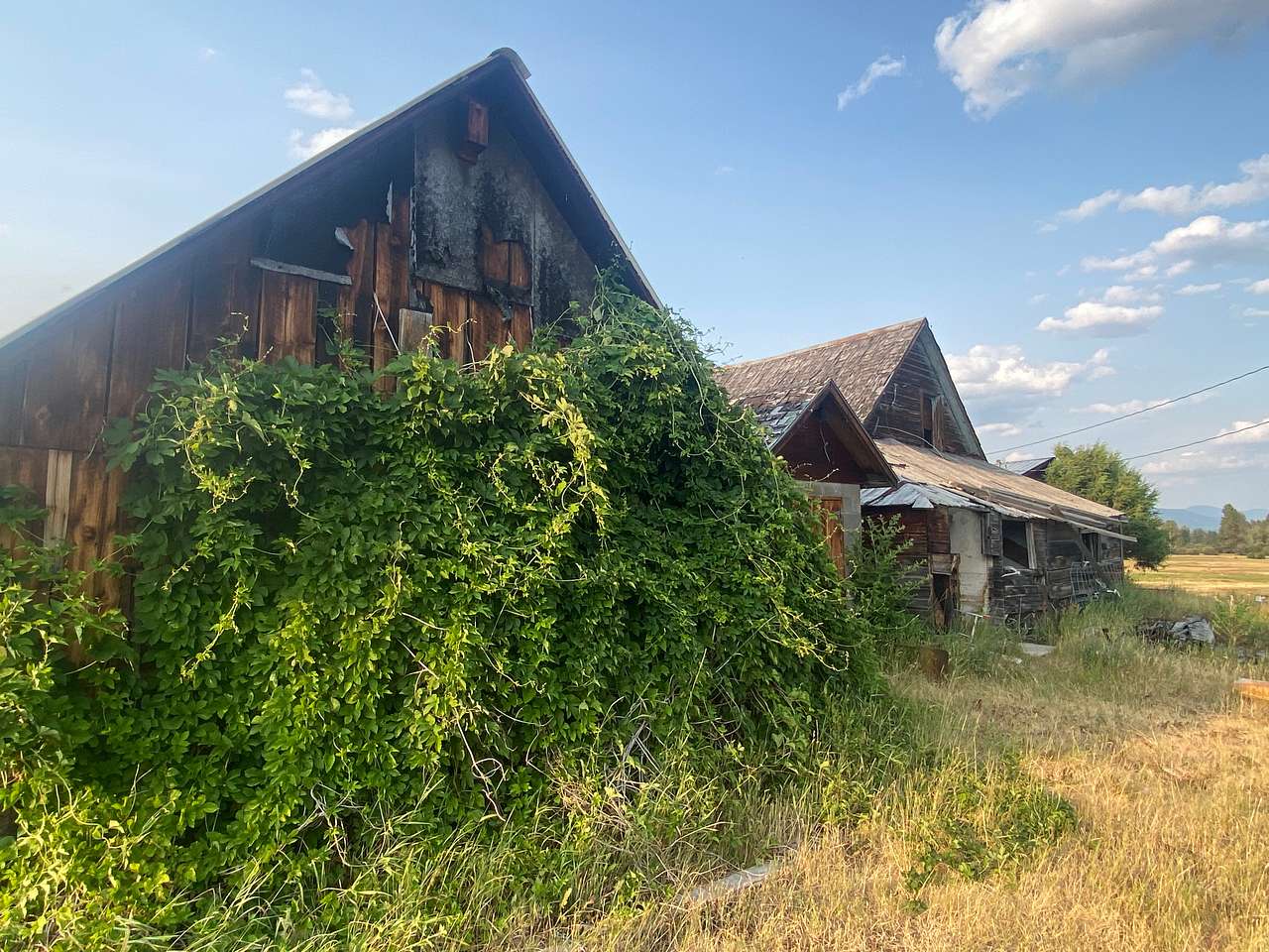 Orion Farmstead