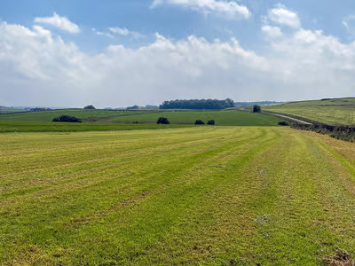 Damside Campsite