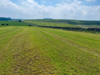 Damside Campsite