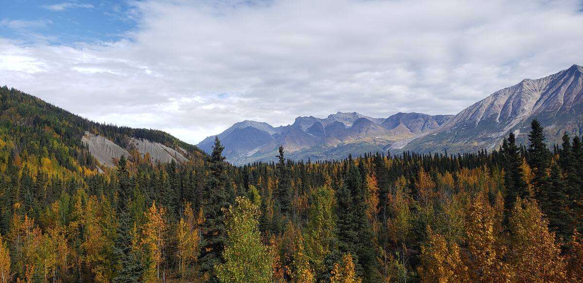 Fireweed Mountain Lodge