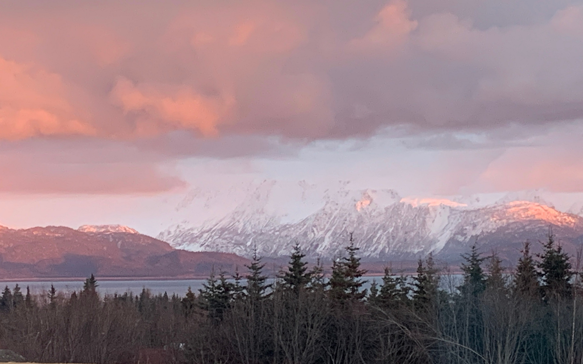 Kachemak Bay View