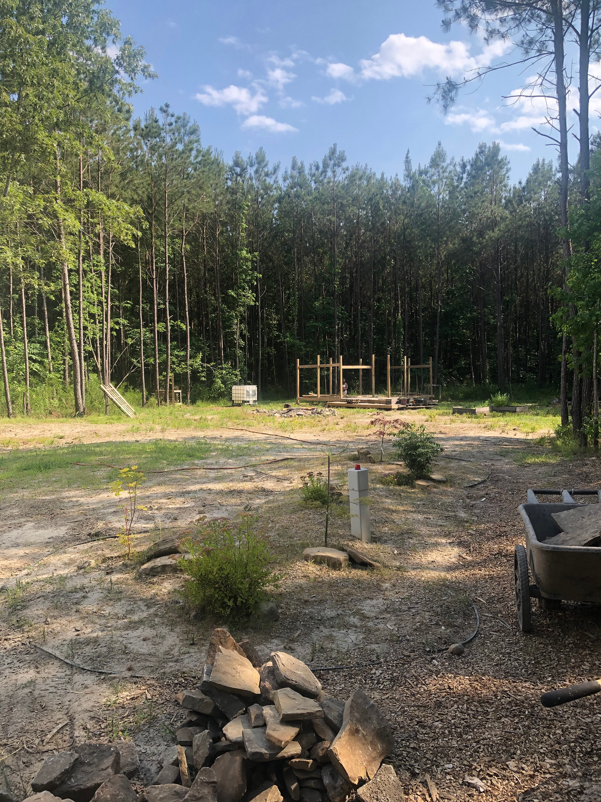 Lovely Nature And Stay