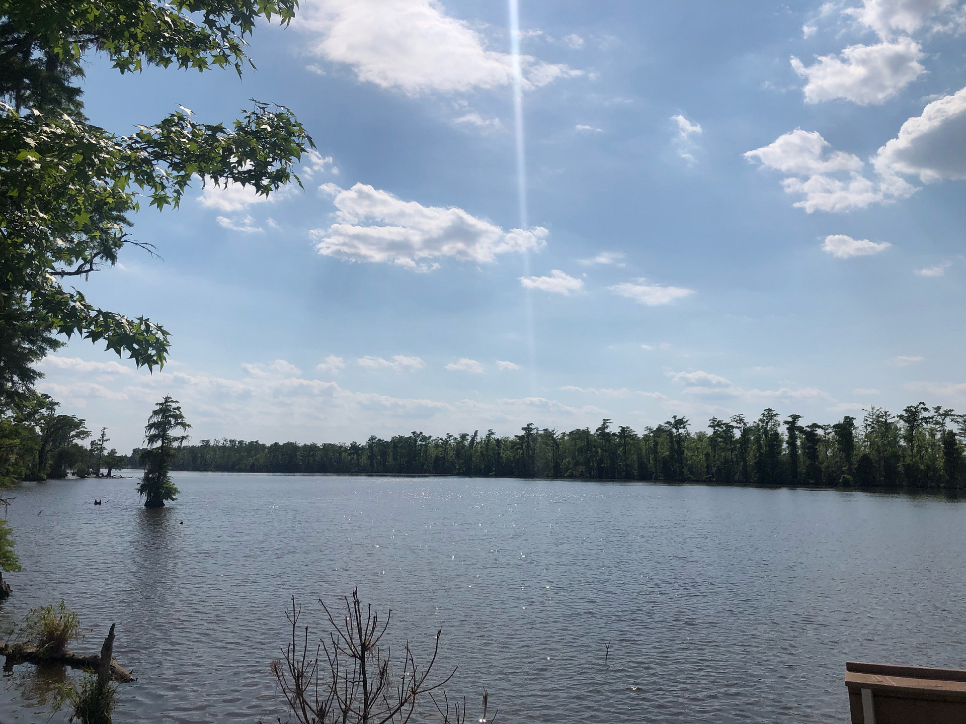 Lovely Nature And Stay
