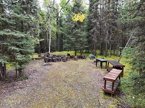 Mossy Forest Camp