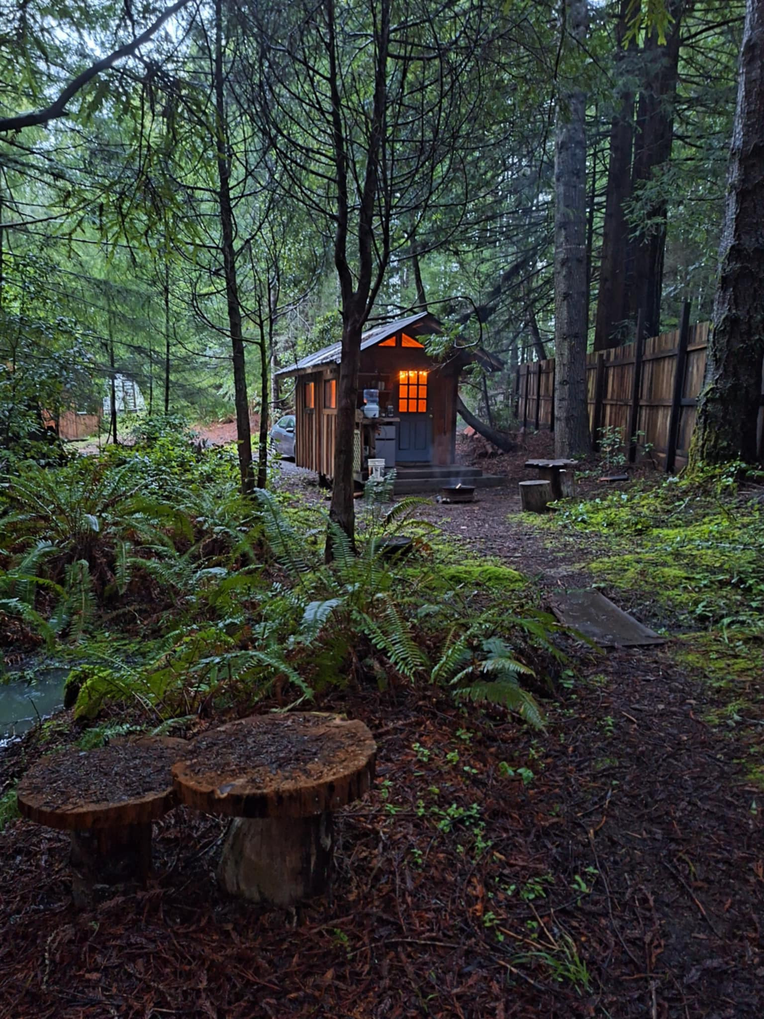 Mushroom Cabin