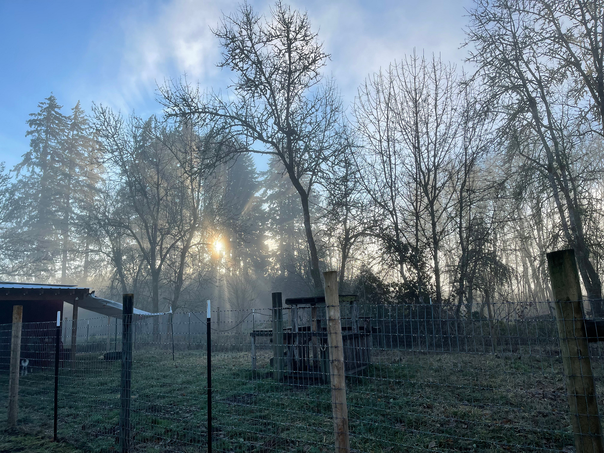 Wildflower Farm