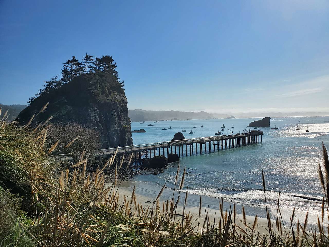 Redwood Coast Cabins & RV Resort