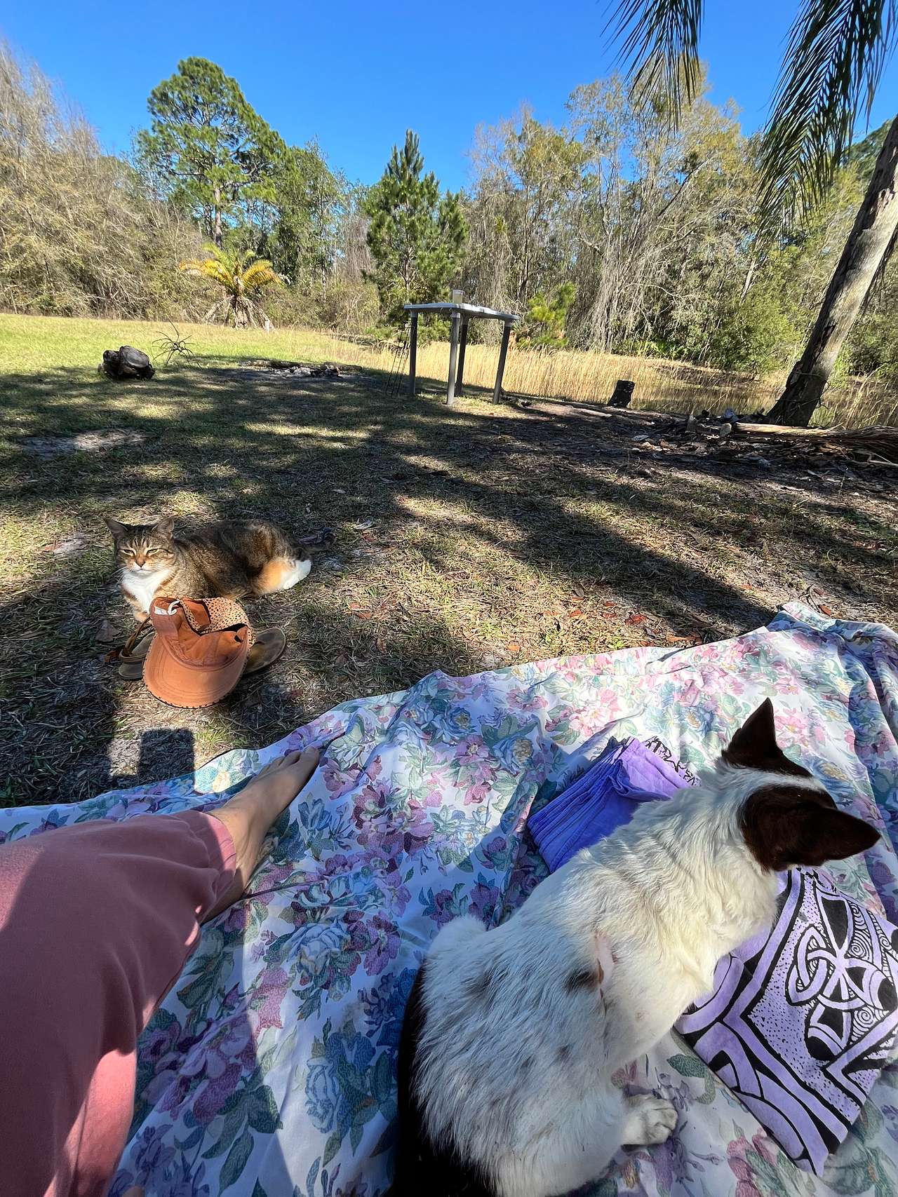 Whispering Oaks Lakeside Sanctuary