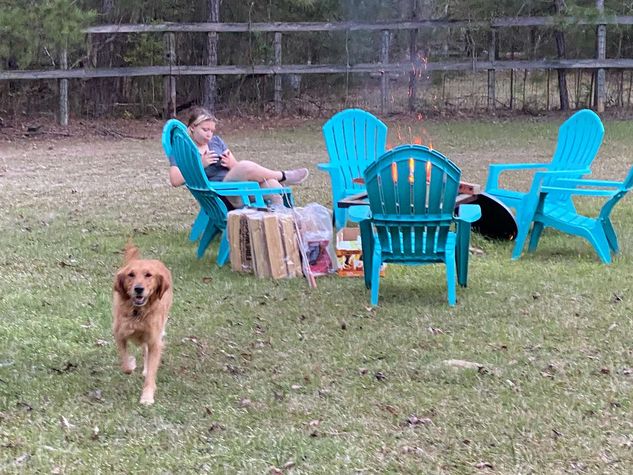 Our furry friend was welcomed! 