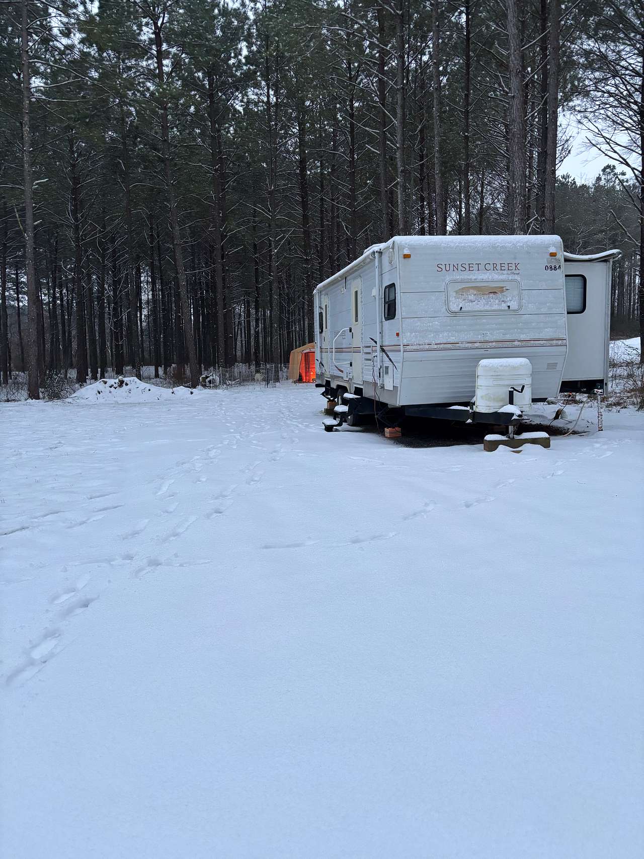 Camping in the woods in Ocoee