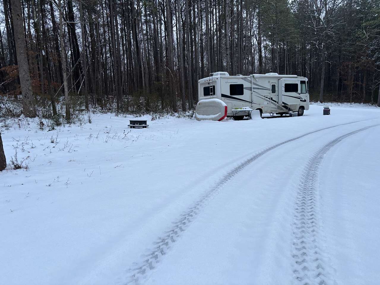 Camping in the woods in Ocoee