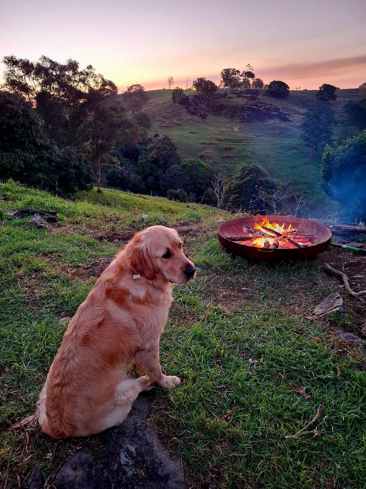 Coorie Vale