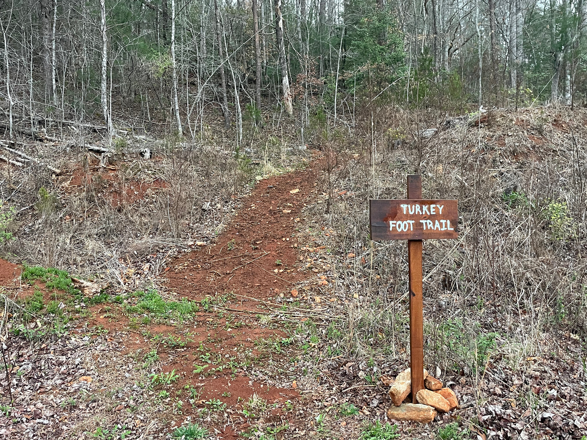 Coweeta Creek Campground