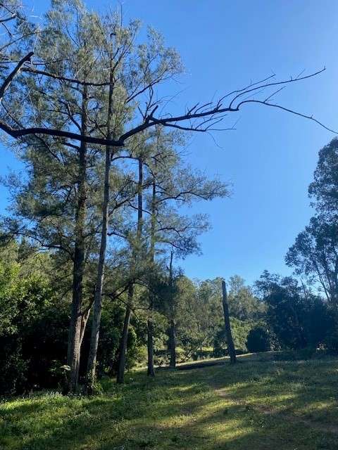 Conondale Valley Farm