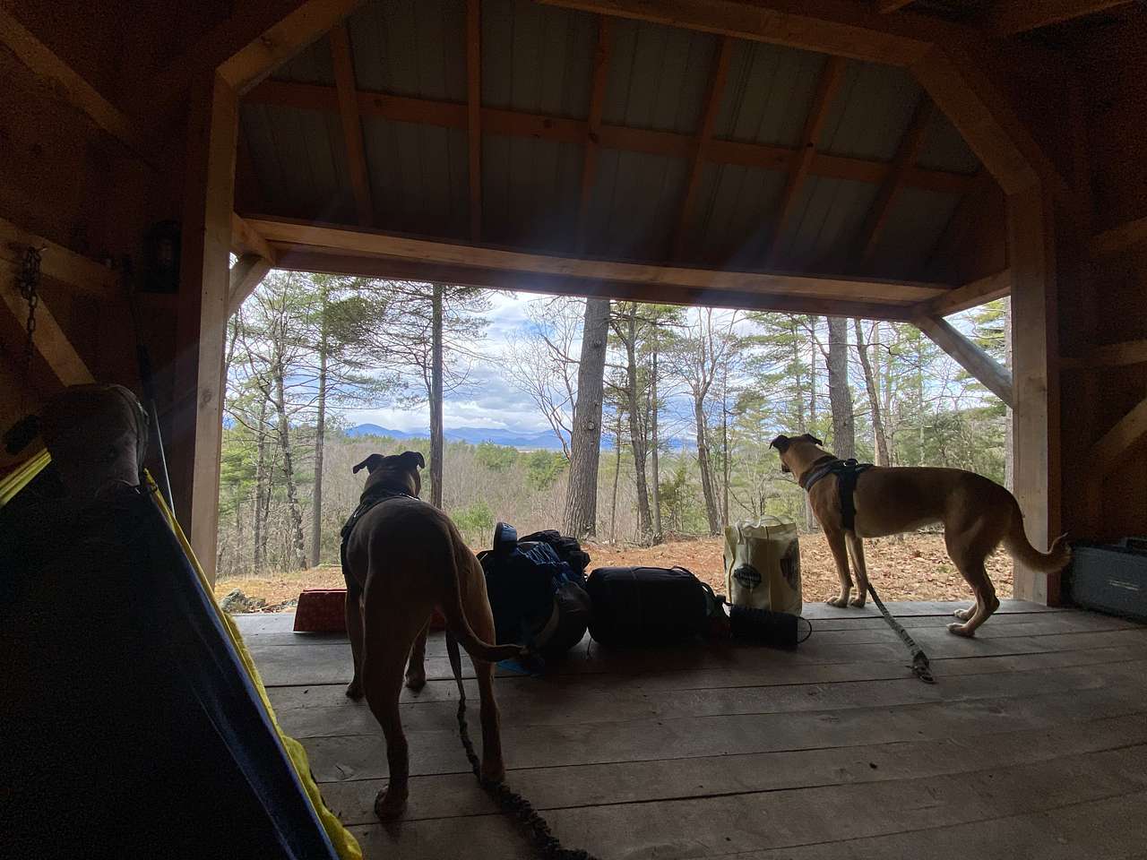 Camp Way Wild