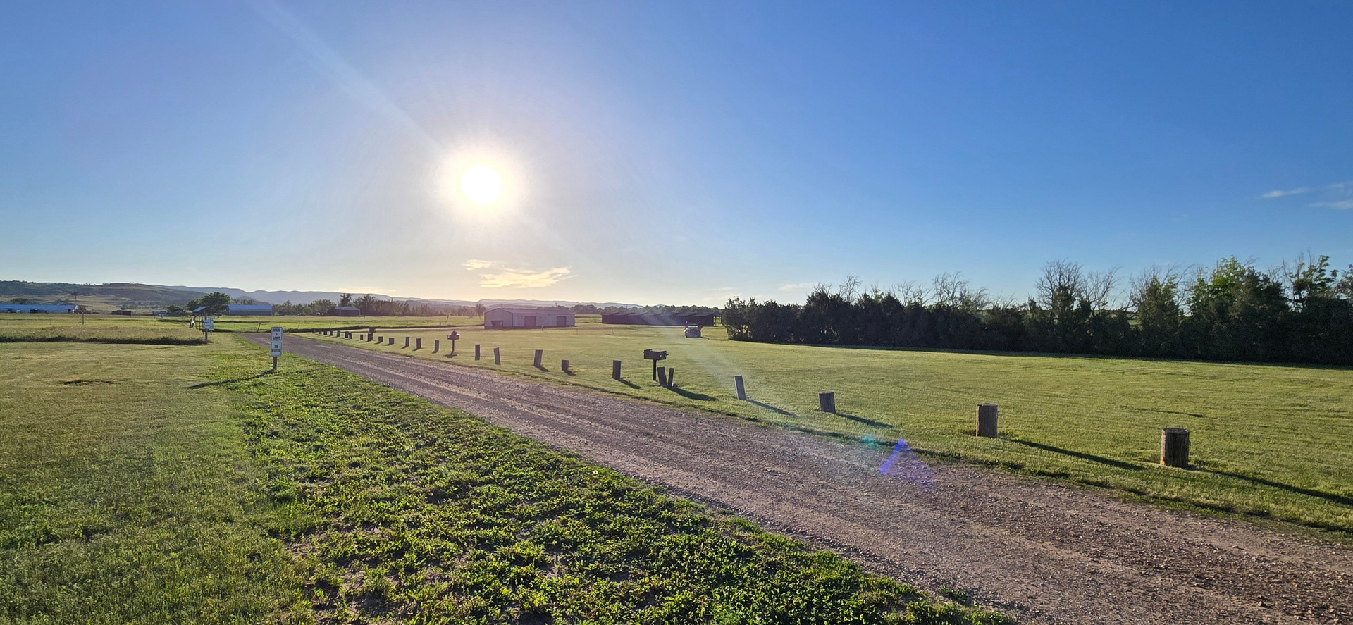 Black Hills Meadow