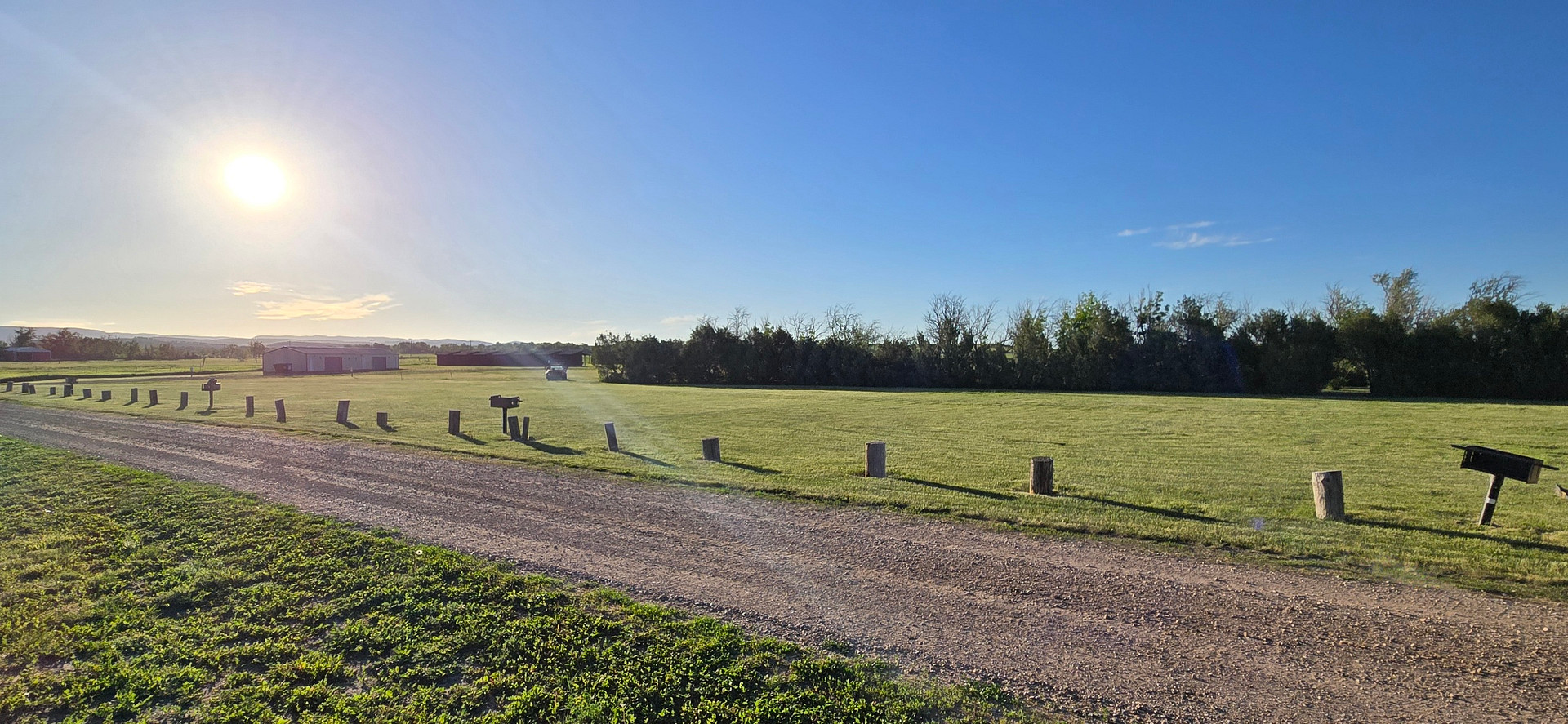 Black Hills Meadow