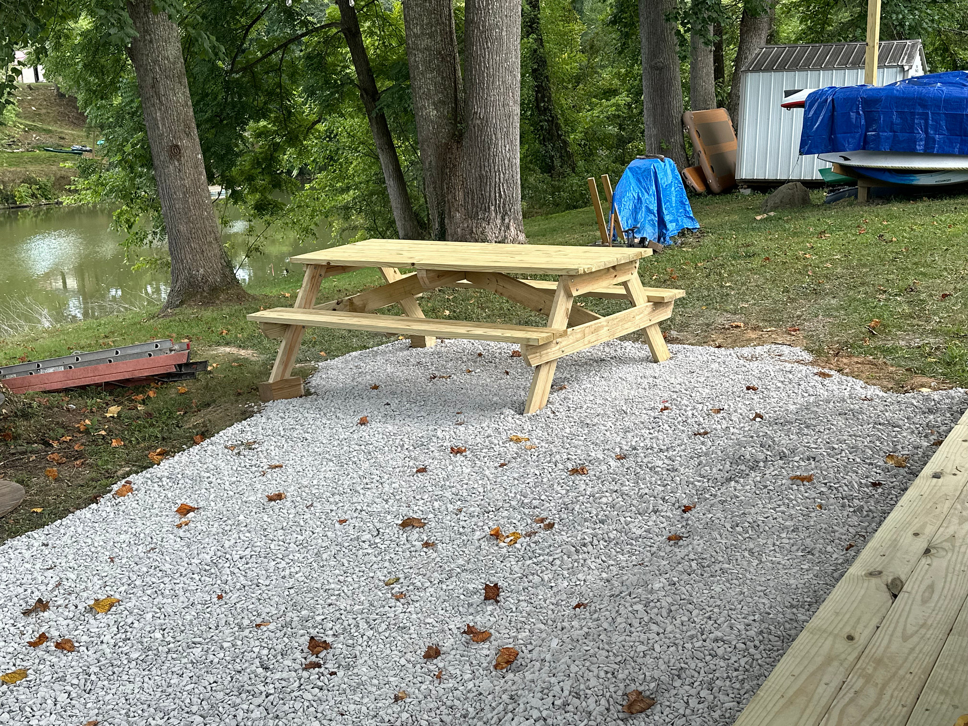 Camp Comatose
