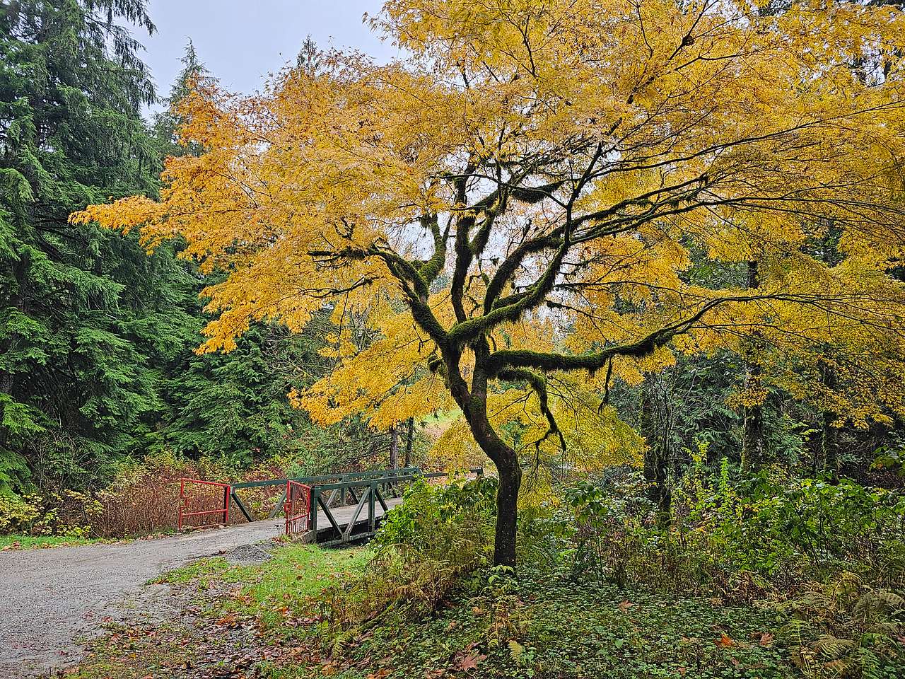 Bridge over Hairsine Creek