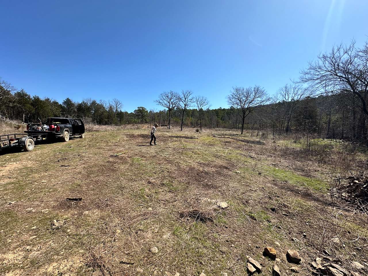 Buffalo Tree Ranch