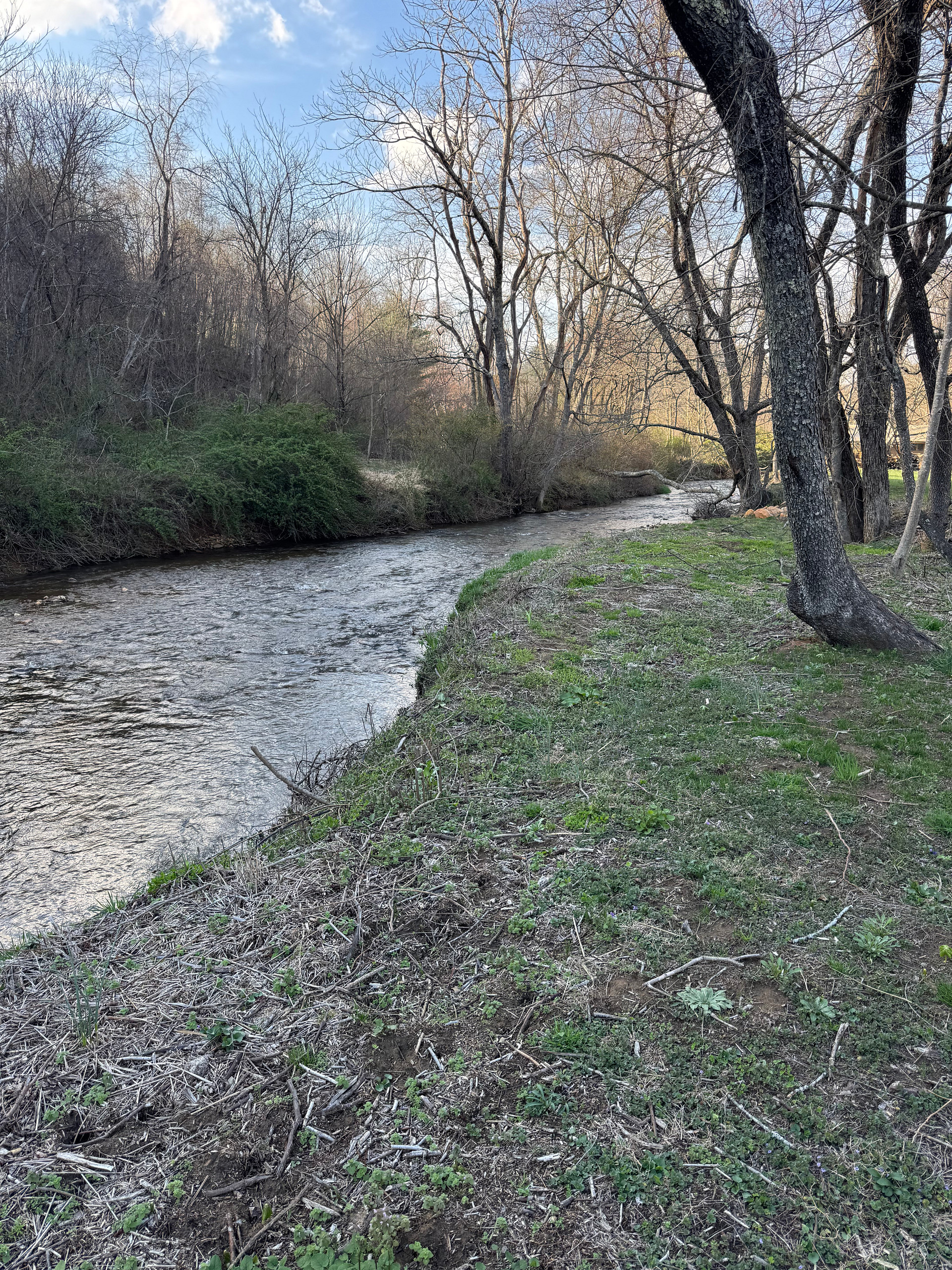 Creekside campsites