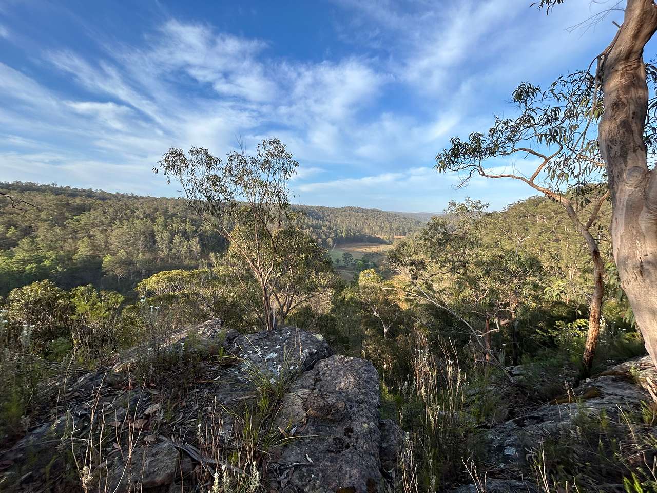 Yengo Bush Camp