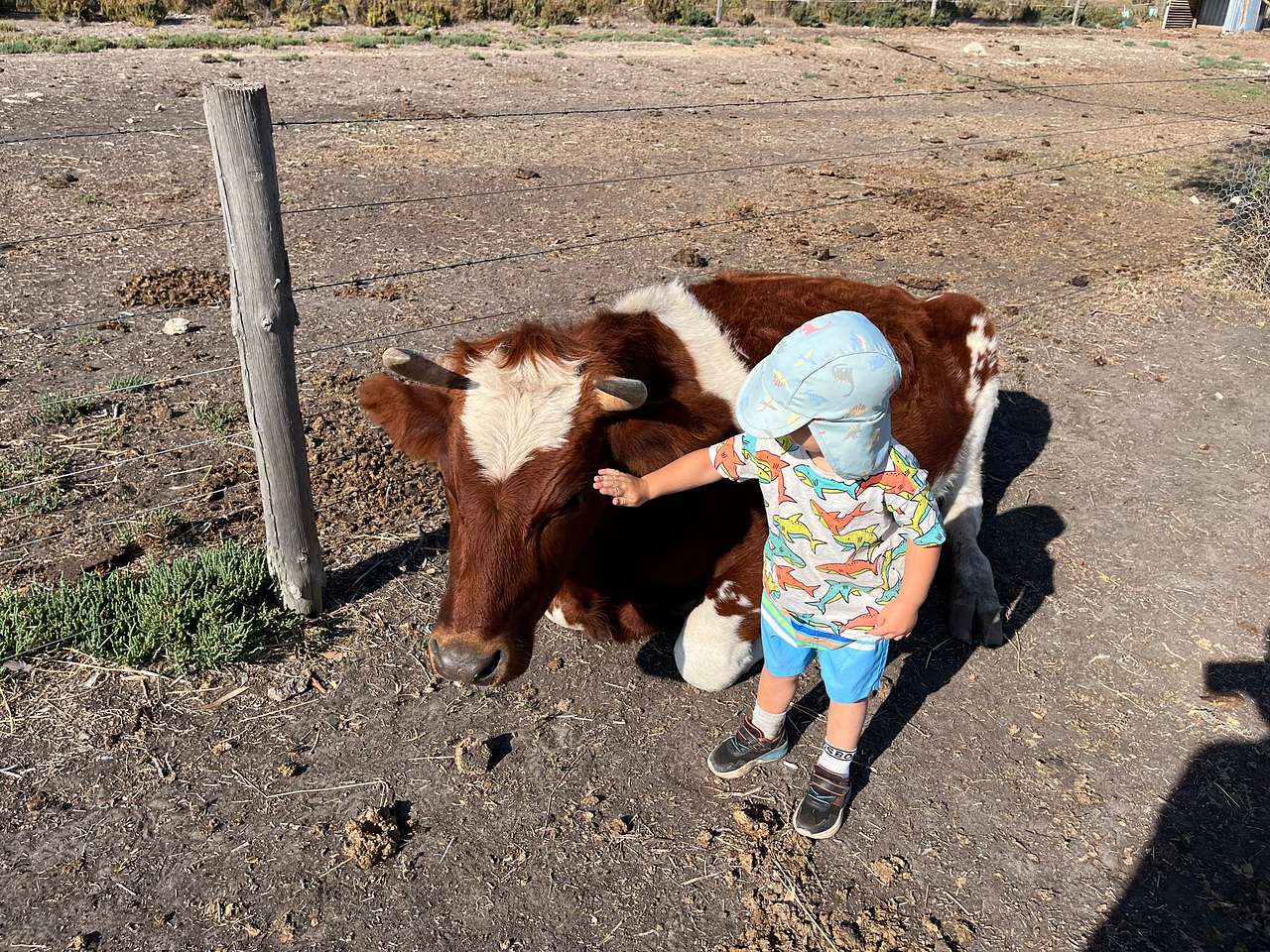 Milang Farm Camp