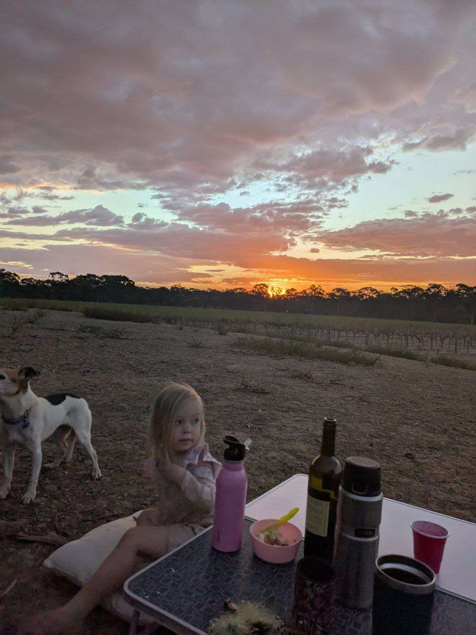 Sandhurst Ridge Vineyard
