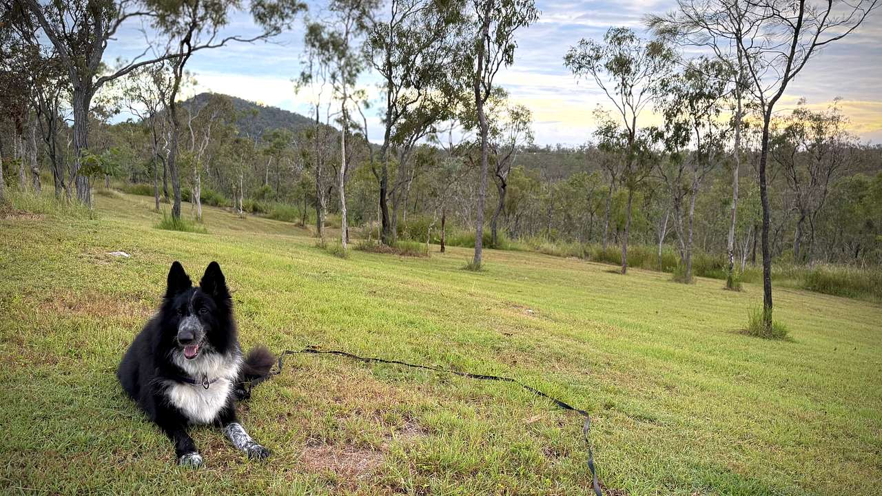 Mareeba Caravan Park