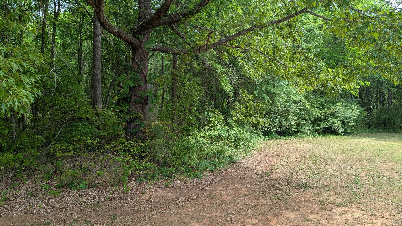 Large oak on the left for shade with stand behind.