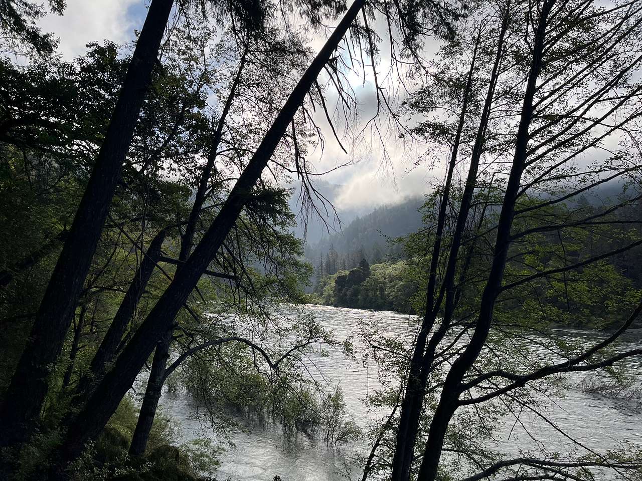 Cool picture from the hike to the river. 