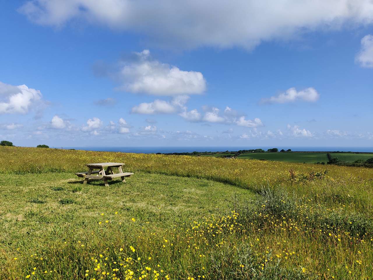 Camp amongst the wildflowers with panoramic sea views