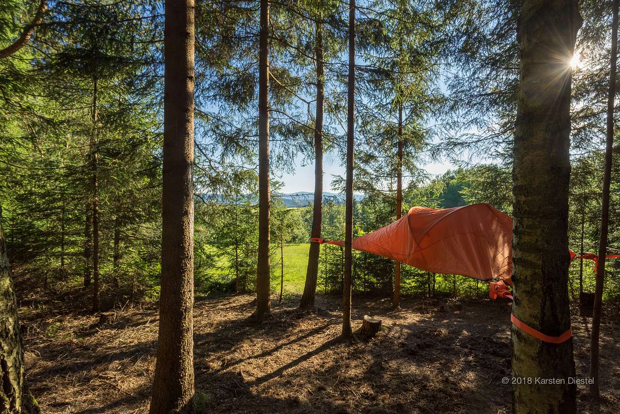 Zelt Am Waldesrand