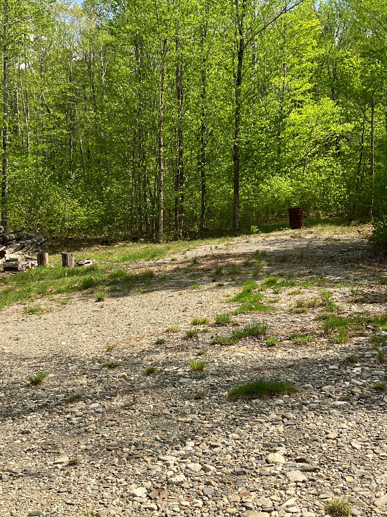 13 Acres/Off Grid/Branch Lake!