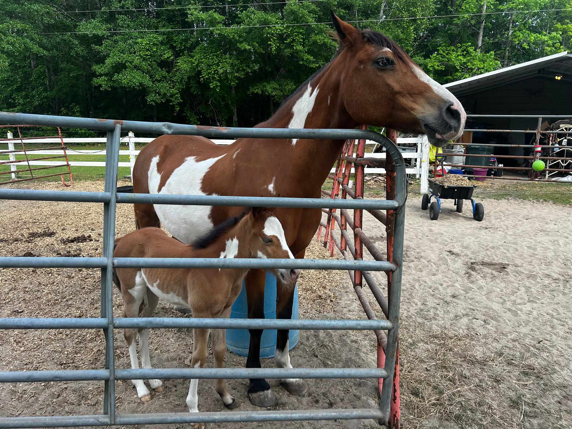 Bowen Farms