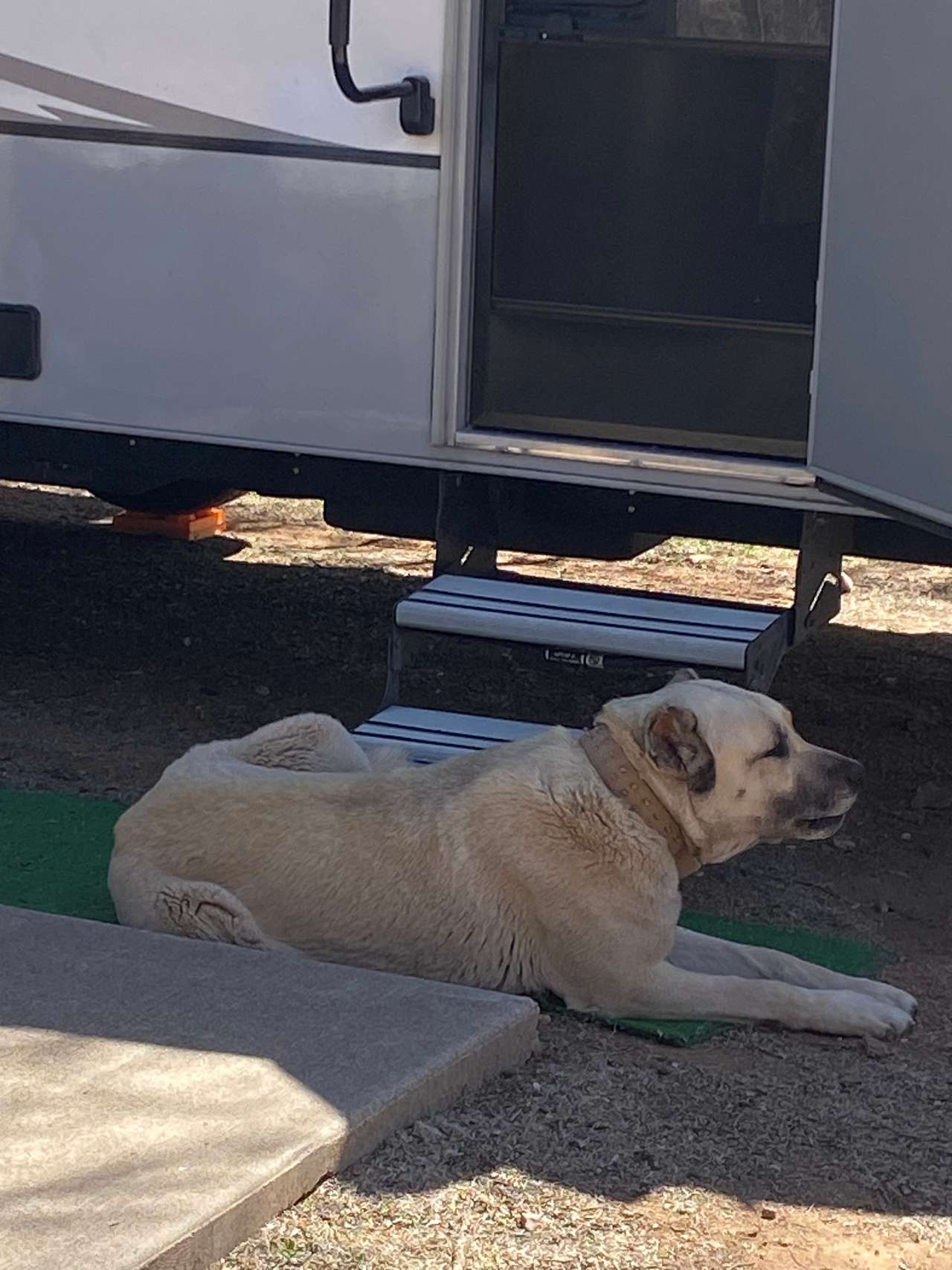 Our protector.